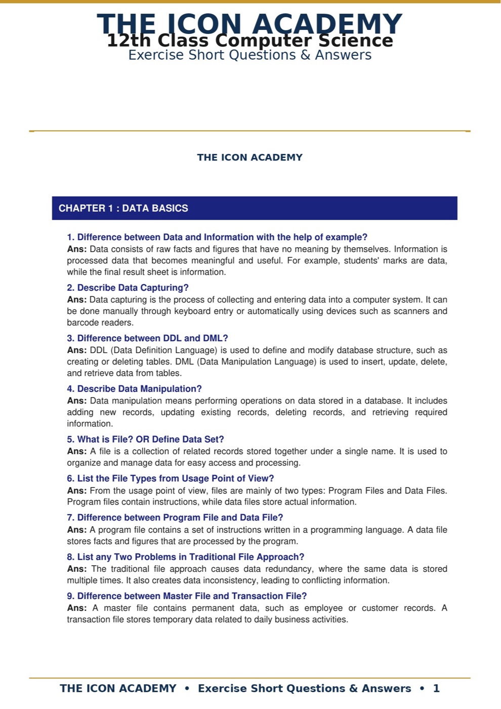 Preview of The Icon Academy 12th Class Computer Science exercise short questions and answers